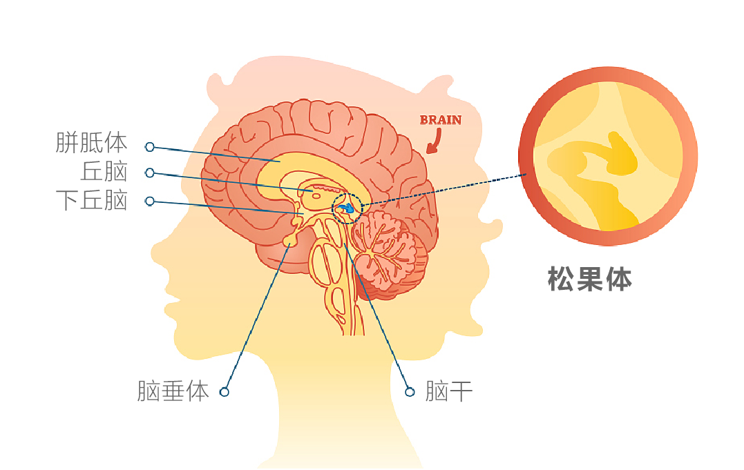 产后影响情绪和睡眠的因素是哪些？